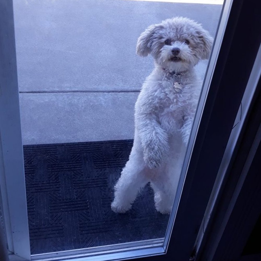 SHARE some of my Listings, I'll share yours! She's NOT For Sale - Picture 2 of 2